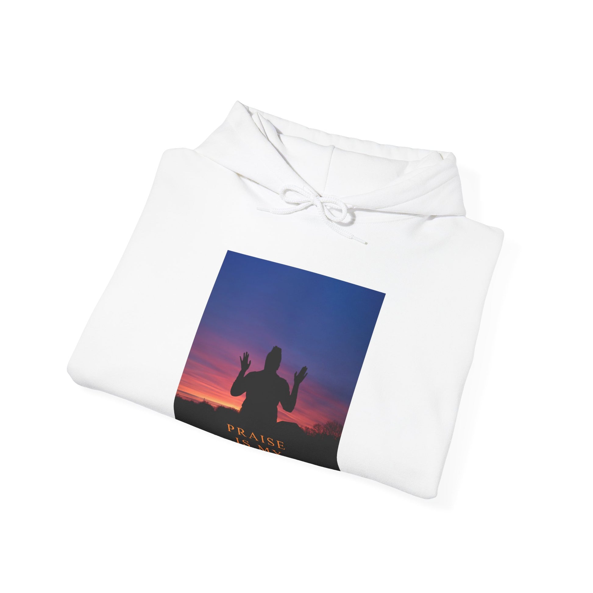 Praise Faith Hoodie